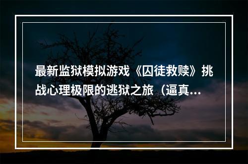 最新监狱模拟游戏《囚徒救赎》挑战心理极限的逃狱之旅（逼真还原狱中生活）(《囚徒救赎》拉近你与罪犯世界的距离，探索人性的边界（难度极高）)