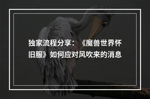 独家流程分享：《魔兽世界怀旧服》如何应对风吹来的消息