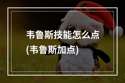 韦鲁斯技能怎么点(韦鲁斯加点)