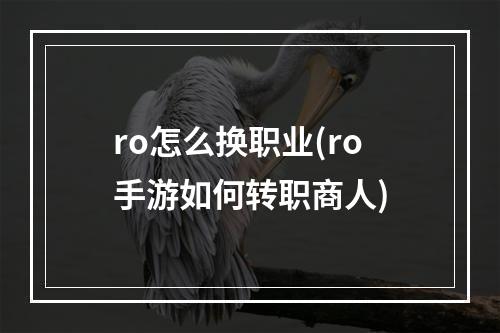 ro怎么换职业(ro手游如何转职商人)