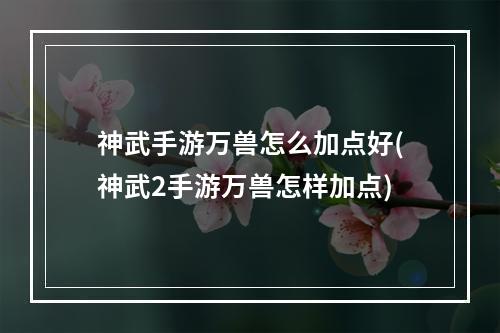 神武手游万兽怎么加点好(神武2手游万兽怎样加点)