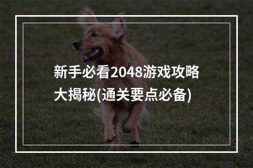 新手必看2048游戏攻略大揭秘(通关要点必备)