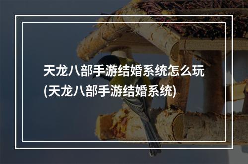 天龙八部手游结婚系统怎么玩(天龙八部手游结婚系统)