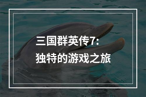 三国群英传7: 独特的游戏之旅