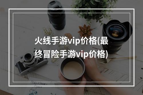 火线手游vip价格(最终冒险手游vip价格)