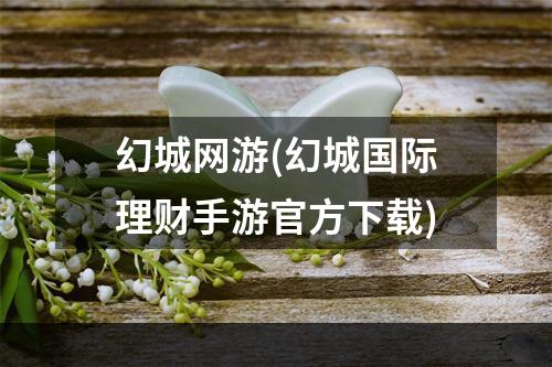 幻城网游(幻城国际理财手游官方下载)