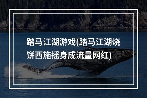 踏马江湖游戏(踏马江湖烧饼西施摇身成流量网红)