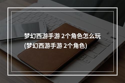 梦幻西游手游 2个角色怎么玩(梦幻西游手游 2个角色)