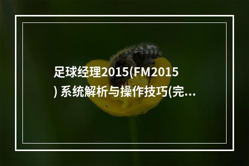 足球经理2015(FM2015) 系统解析与操作技巧(完全指南)