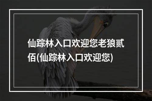 仙踪林入口欢迎您老狼贰佰(仙踪林入口欢迎您)