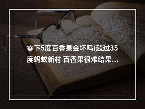 零下5度百香果会坏吗(超过35度蚂蚁新村 百香果很难结果吗3.30)