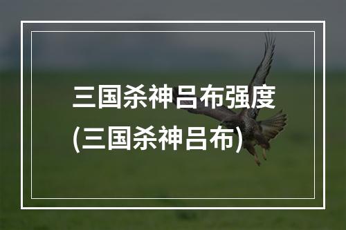 三国杀神吕布强度(三国杀神吕布)