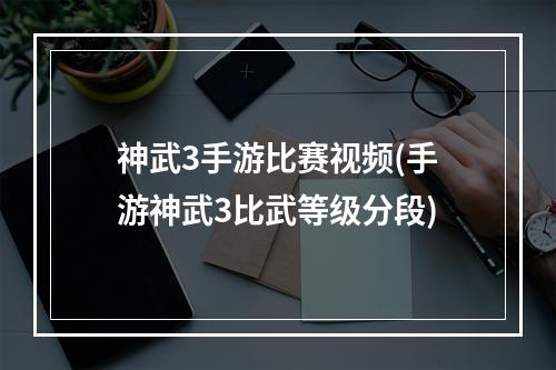 神武3手游比赛视频(手游神武3比武等级分段)