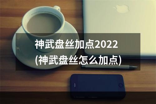 神武盘丝加点2022(神武盘丝怎么加点)