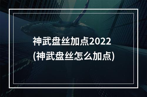 神武盘丝加点2022(神武盘丝怎么加点)