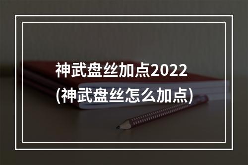 神武盘丝加点2022(神武盘丝怎么加点)