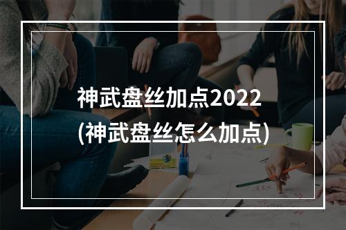 神武盘丝加点2022(神武盘丝怎么加点)