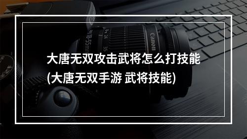 大唐无双攻击武将怎么打技能(大唐无双手游 武将技能)