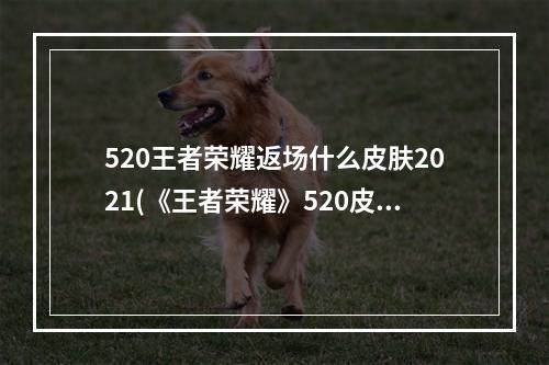 520王者荣耀返场什么皮肤2021(《王者荣耀》520皮肤最新消息2022 520皮肤返场曝光)