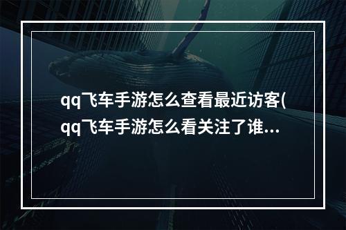 qq飞车手游怎么查看最近访客(qq飞车手游怎么看关注了谁)