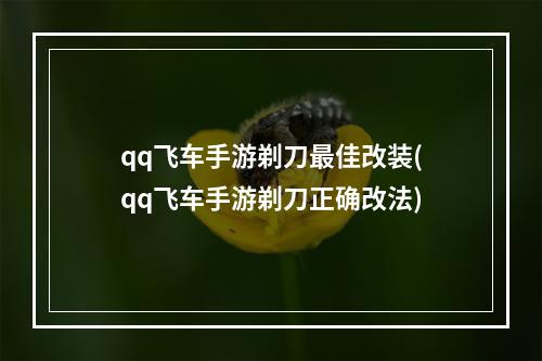 qq飞车手游剃刀最佳改装(qq飞车手游剃刀正确改法)