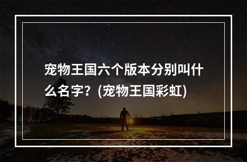 宠物王国六个版本分别叫什么名字？(宠物王国彩虹)