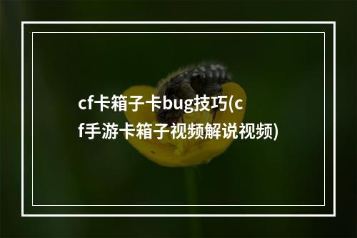 cf卡箱子卡bug技巧(cf手游卡箱子视频解说视频)