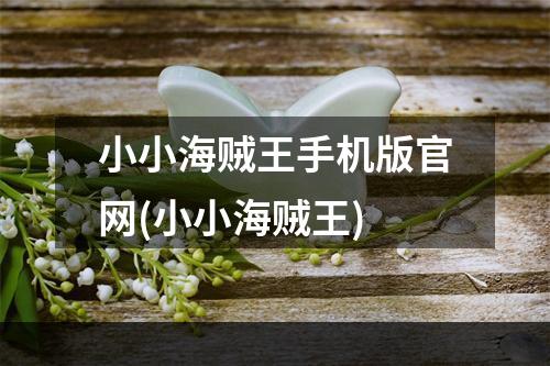 小小海贼王手机版官网(小小海贼王)