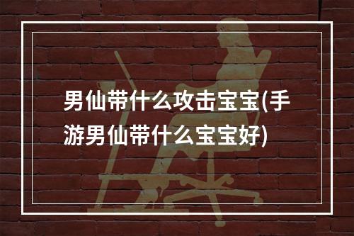 男仙带什么攻击宝宝(手游男仙带什么宝宝好)