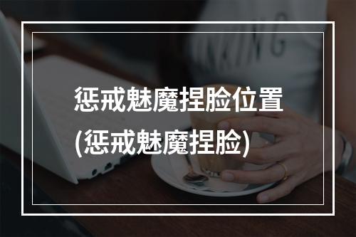 惩戒魅魔捏脸位置(惩戒魅魔捏脸)