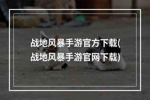 战地风暴手游官方下载(战地风暴手游官网下载)