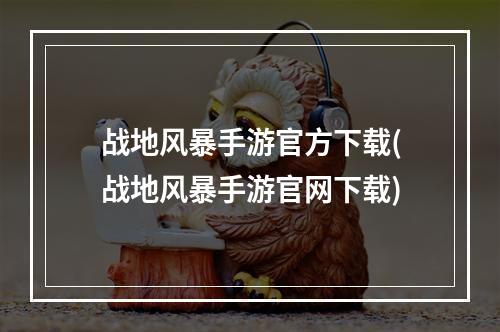 战地风暴手游官方下载(战地风暴手游官网下载)