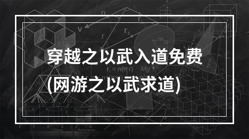 穿越之以武入道免费(网游之以武求道)