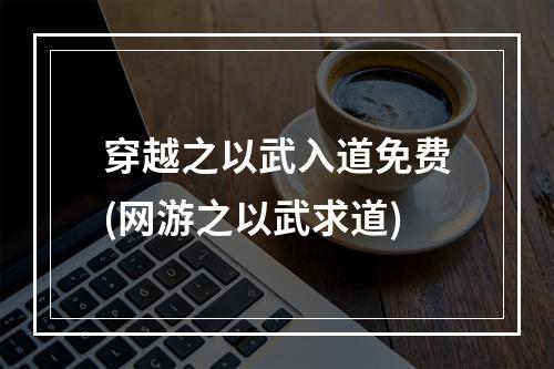 穿越之以武入道免费(网游之以武求道)