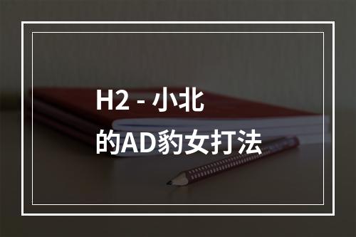 H2 - 小北的AD豹女打法