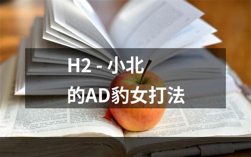 H2 - 小北的AD豹女打法