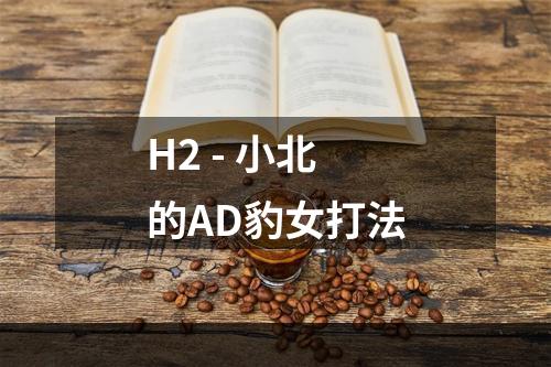 H2 - 小北的AD豹女打法