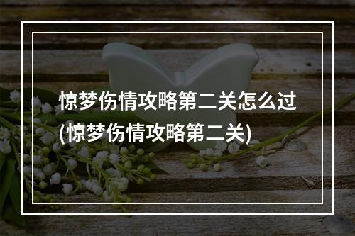 惊梦伤情攻略第二关怎么过(惊梦伤情攻略第二关)