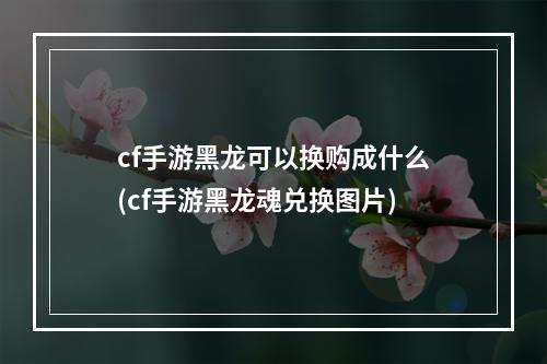 cf手游黑龙可以换购成什么(cf手游黑龙魂兑换图片)