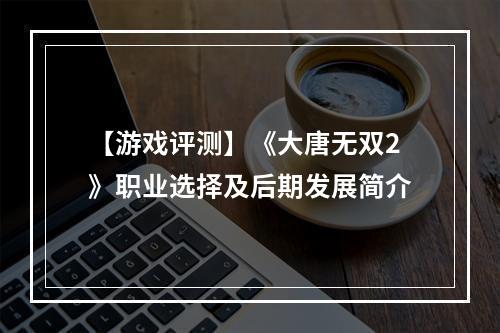 【游戏评测】《大唐无双2》职业选择及后期发展简介