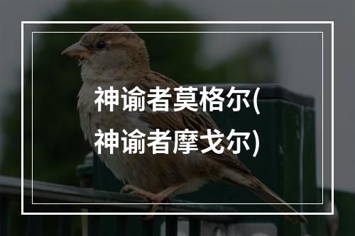 神谕者莫格尔(神谕者摩戈尔)