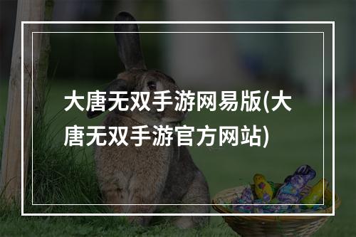 大唐无双手游网易版(大唐无双手游官方网站)