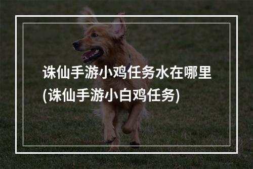 诛仙手游小鸡任务水在哪里(诛仙手游小白鸡任务)