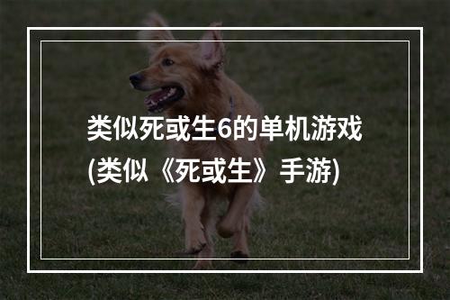 类似死或生6的单机游戏(类似《死或生》手游)