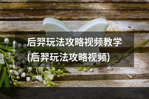 后羿玩法攻略视频教学(后羿玩法攻略视频)