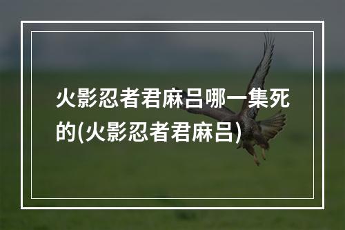 火影忍者君麻吕哪一集死的(火影忍者君麻吕)