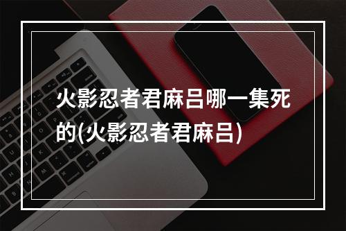 火影忍者君麻吕哪一集死的(火影忍者君麻吕)