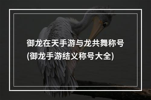 御龙在天手游与龙共舞称号(御龙手游结义称号大全)