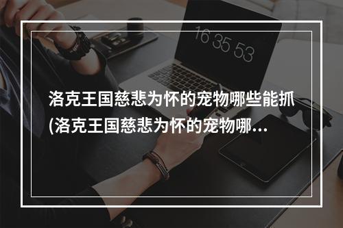 洛克王国慈悲为怀的宠物哪些能抓(洛克王国慈悲为怀的宠物哪些 )