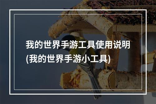 我的世界手游工具使用说明(我的世界手游小工具)